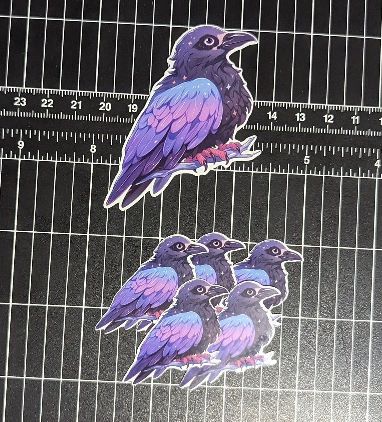 Purple and blue Crow