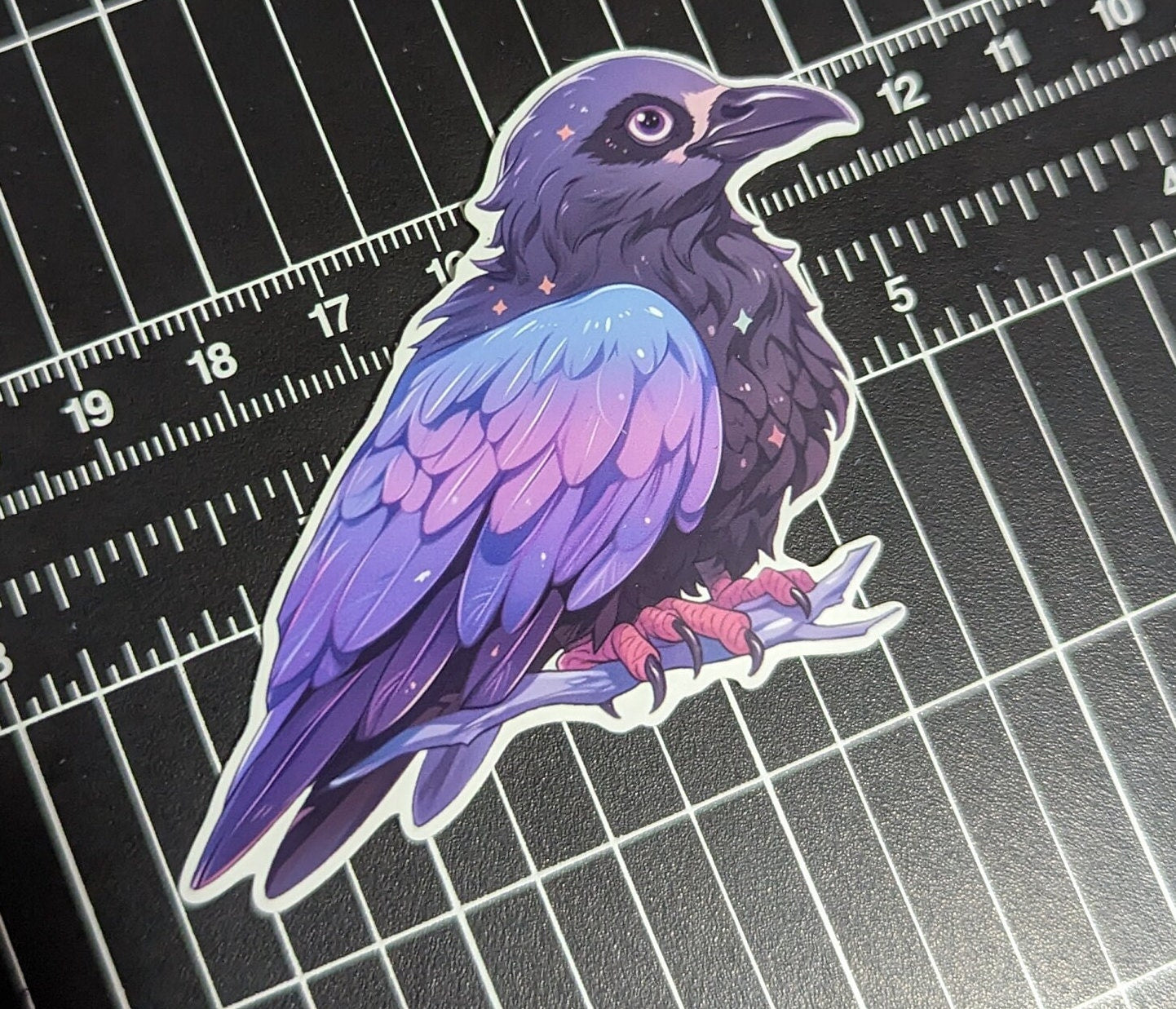 Purple and blue Crow