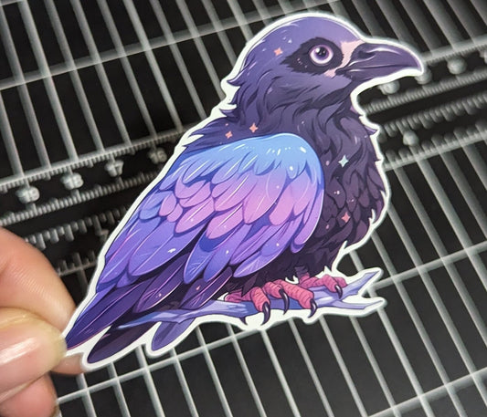 Purple and blue Crow